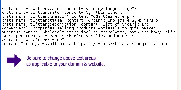 Twitter Card Meta Code Placement Example