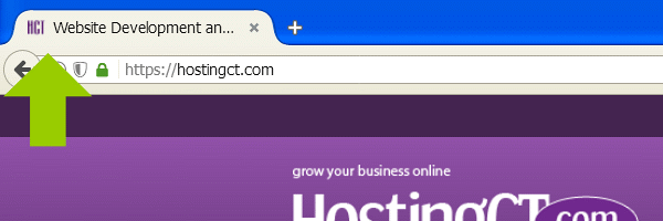 Example of a Favicon displayed in a Browser