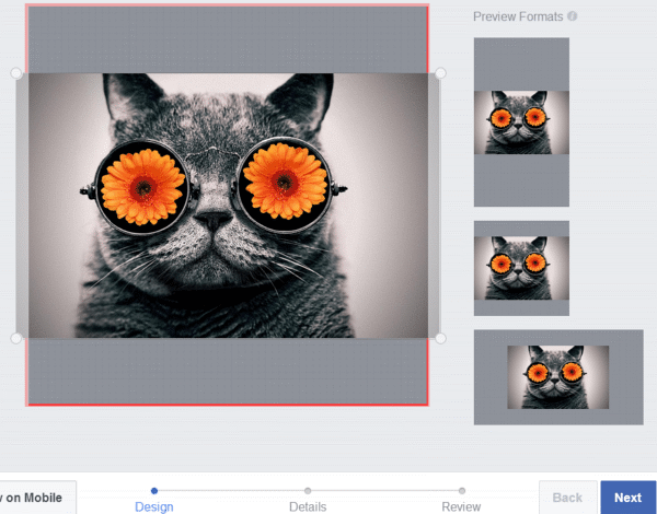 Tips on How to Make Custom Facebook Frames