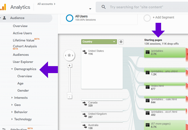 demographics on google analytics