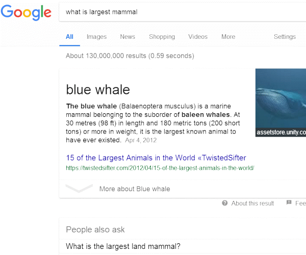 Google Snippets Information