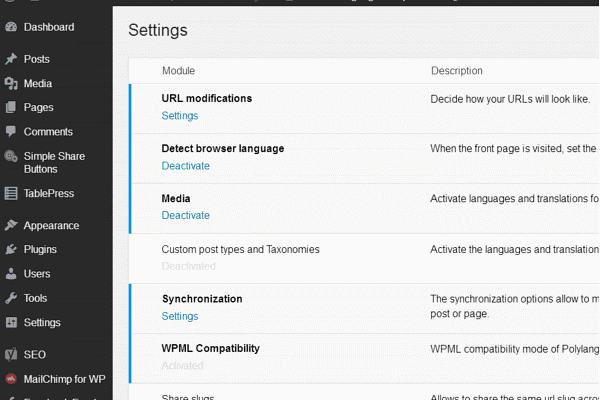 Polylang Plugin for Website Translation