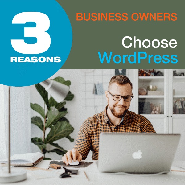 3 Reasons Business Owners Choose WordPress