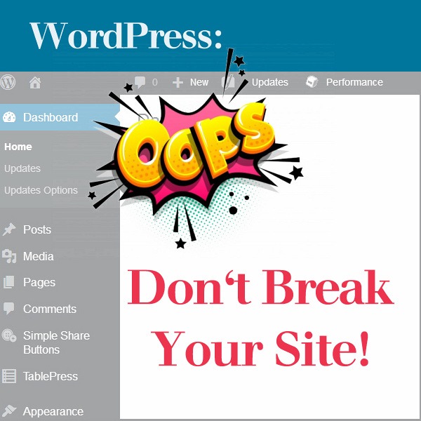 WordPress: Don’t Break Your Site!