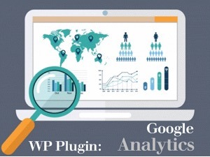 WP Plugin:  Google Analytics