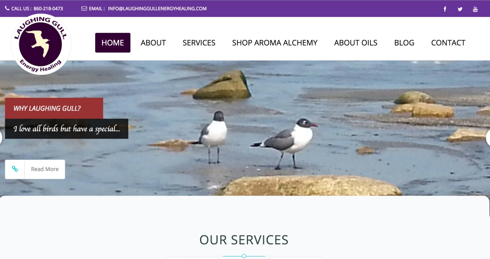 The Joy of a New Website - Laughing Gull Energy Healing